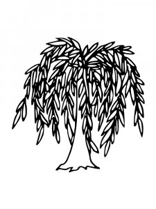Willow Tree coloring page 16 - Free printable
