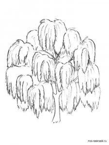 Willow Tree coloring page 3 - Free printable