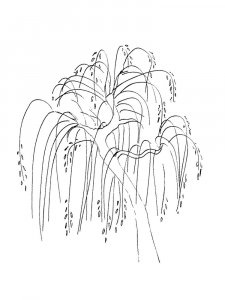 Willow Tree coloring page 8 - Free printable